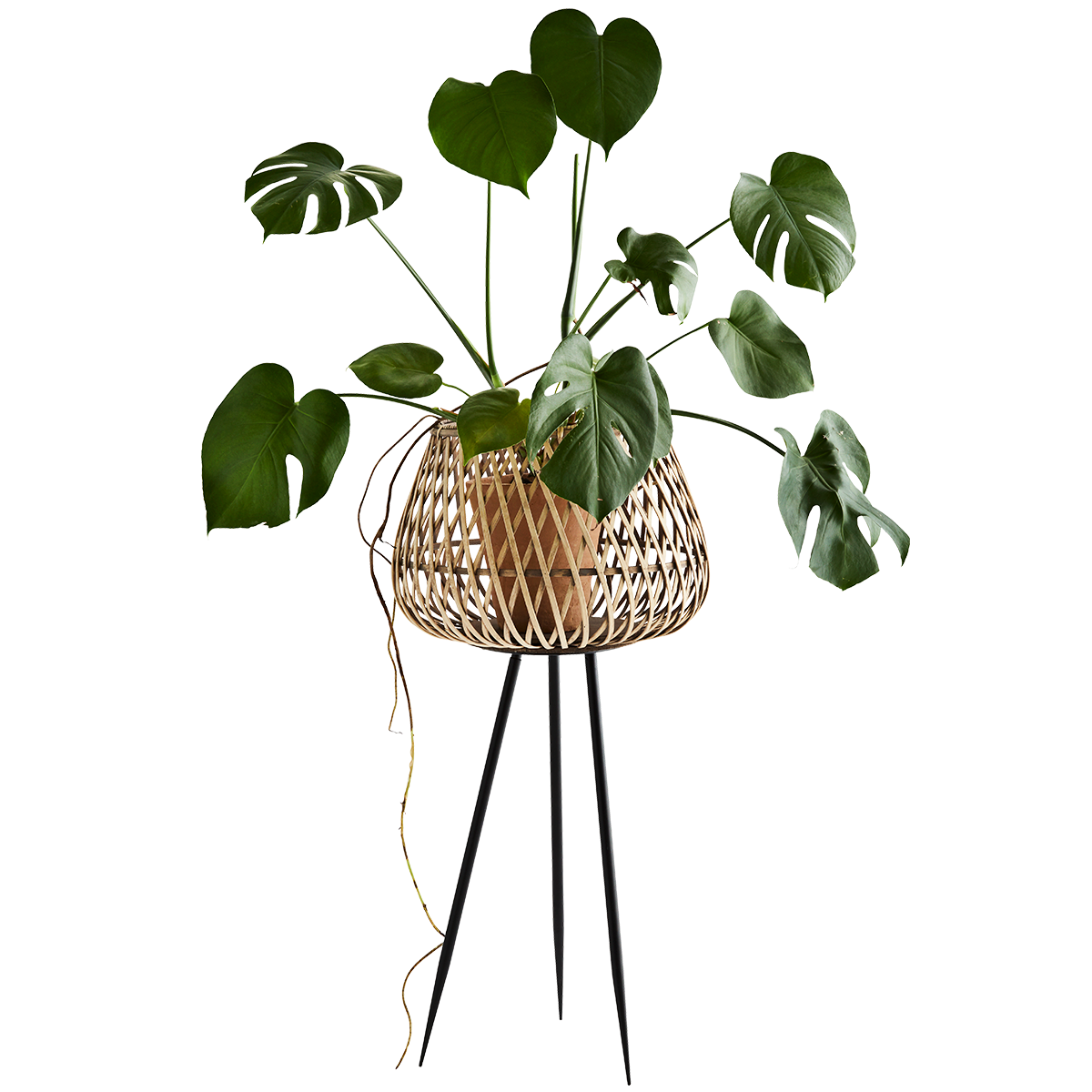 Bamboo flower stand