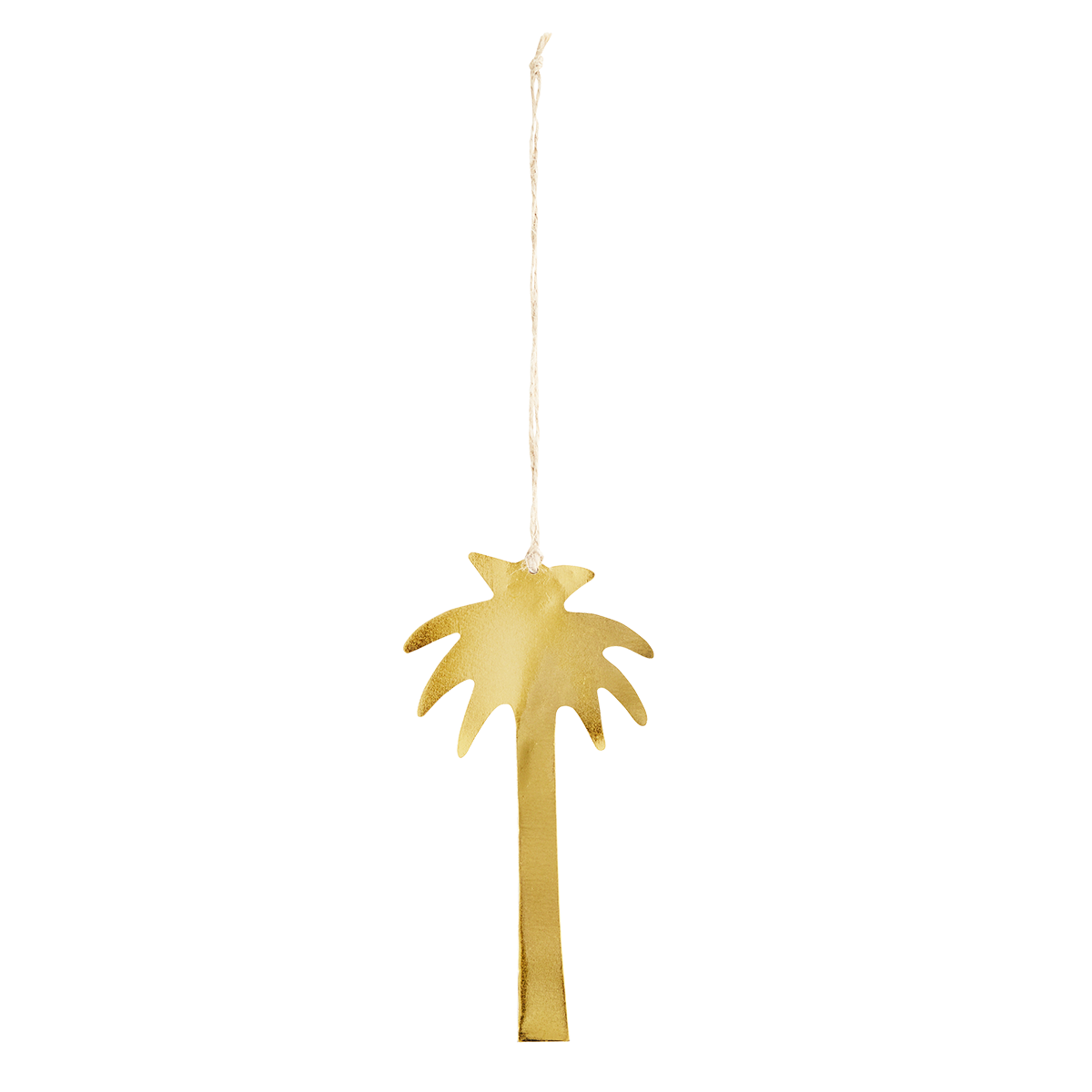 Hanging palm