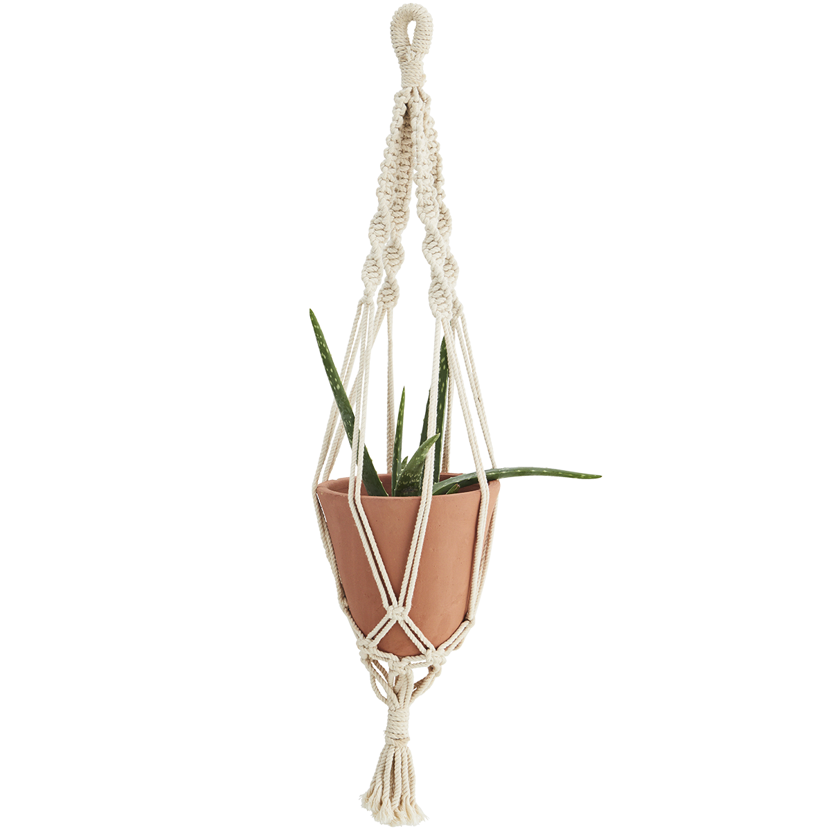 Hanging terracotta flower pot