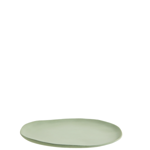 Eco sustainable melamine lunch plate