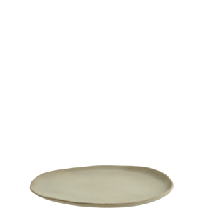 Eco sustainable melamine lunch plate