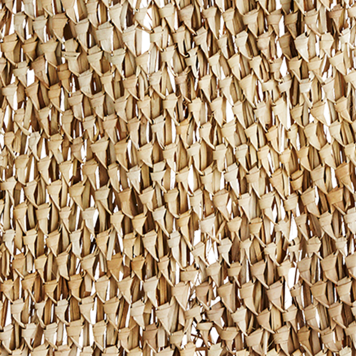 Palm leaf wall deco