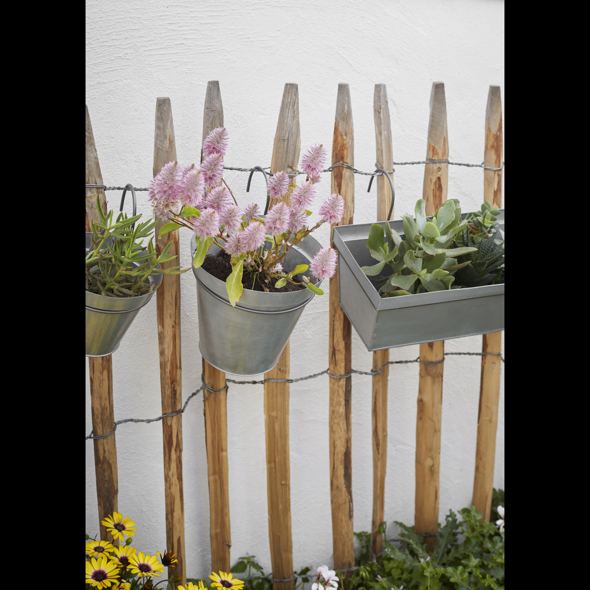Hanging iron planter Hanging iron planter