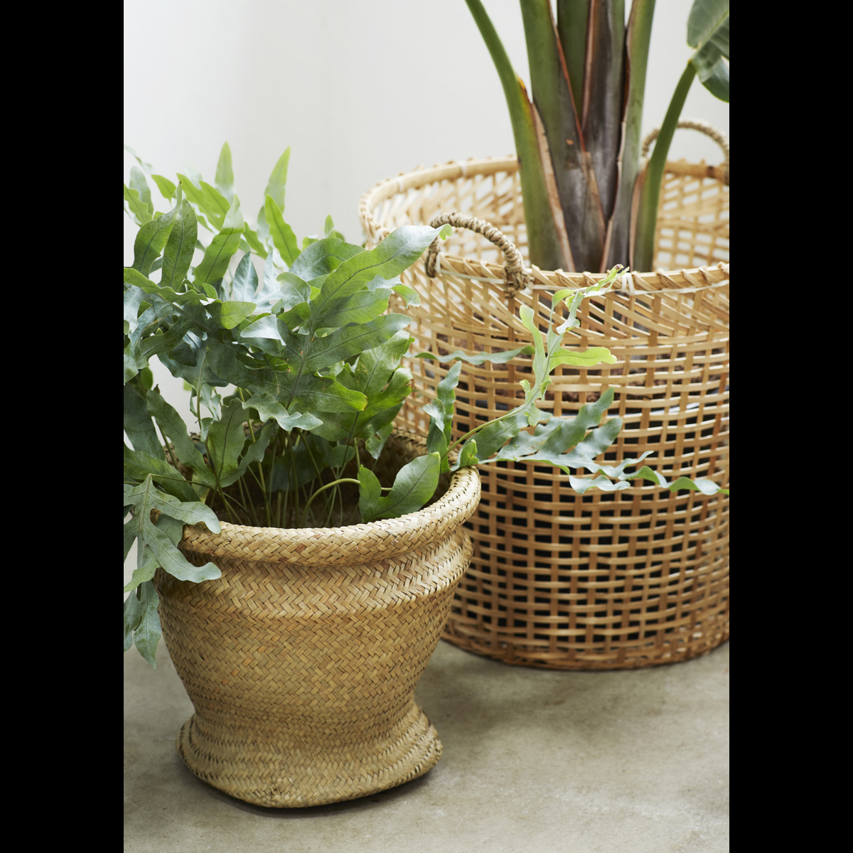 Round grass baskets